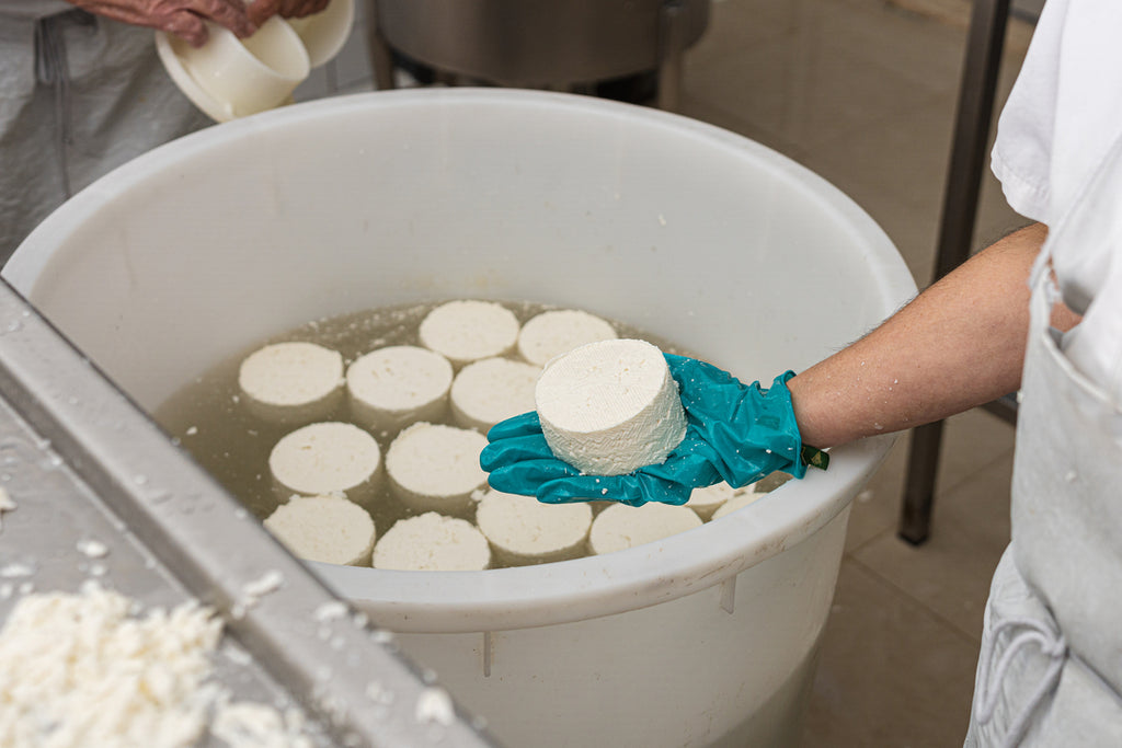 Interview with a School Cafeteria Worker: The Importance of Disposable Gloves in Food Safety