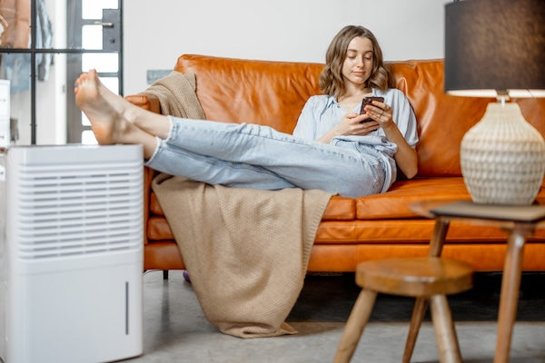 Do Air Purifiers Cool the Room?